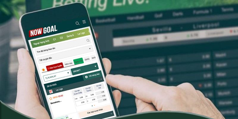 Nowgoal Mobile tính năng